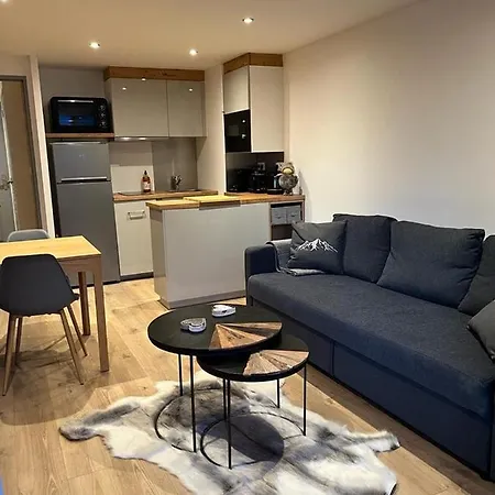 Apartmán Au Centre De La Station, Entierement Renove, , Parking Prive Et Wifi Gratuit Les Deux Alpes