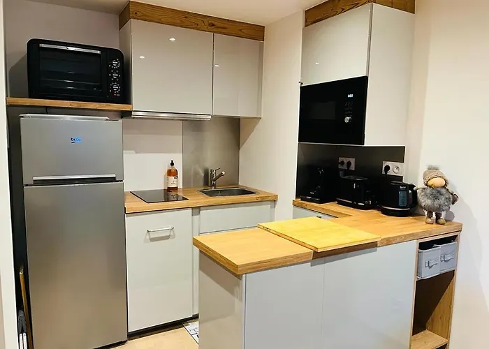 Апартаменты Au Centre De La Station, Entierement Renove, , Parking Prive Et Wifi Gratuit Ле дез Альп